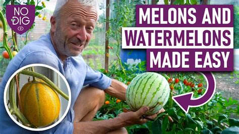 free porn melons tube|Touch My Melons